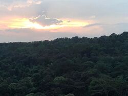 Kingsford . Hillview Peak (D23), Condominium #624884341